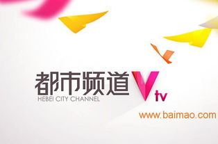 海王廣告 專業(yè)鑄就卓越，精準(zhǔn)賦能河北電視臺(tái)廣告優(yōu)勢發(fā)布
